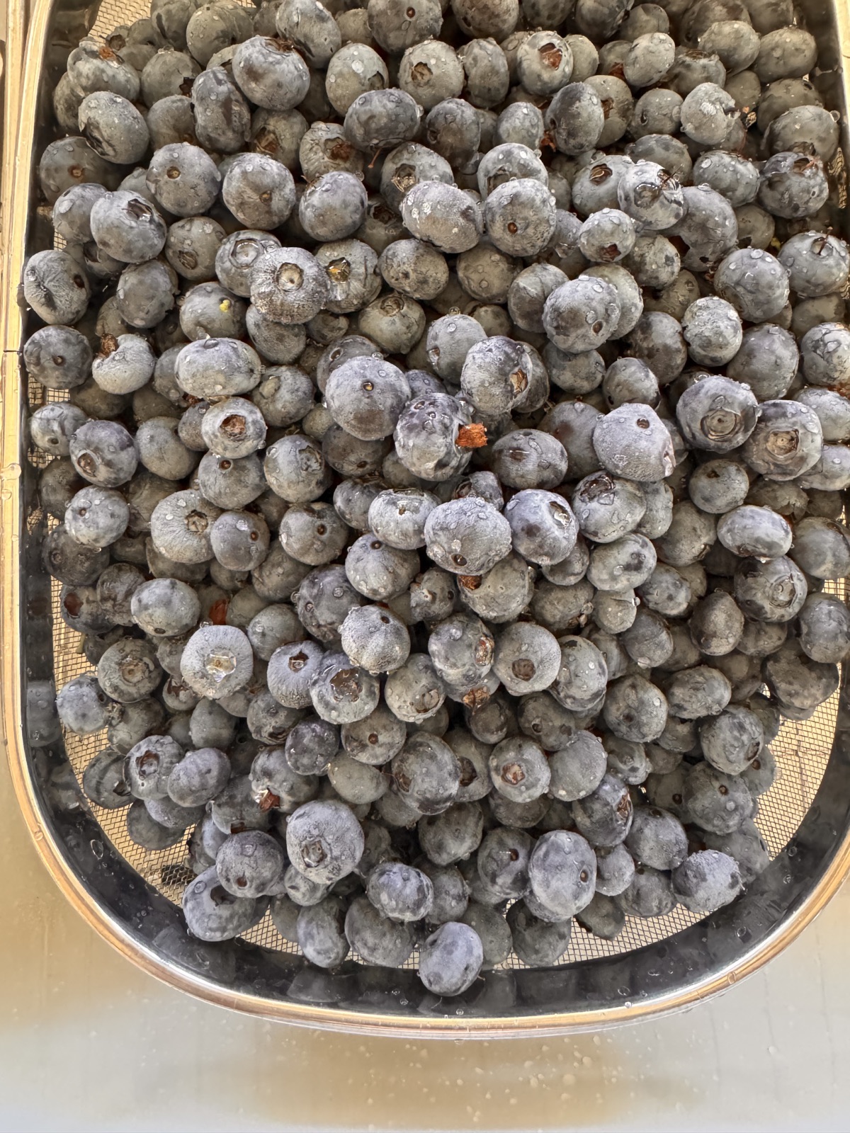A bowl filled with just-picked red berries
